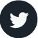 Twitter Logo Icon